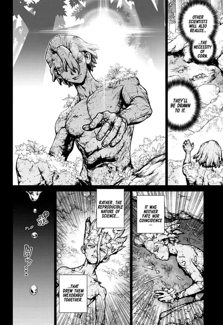 Dr. Stone Chapter 157 15